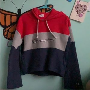 Champion cropped-ish hoodie